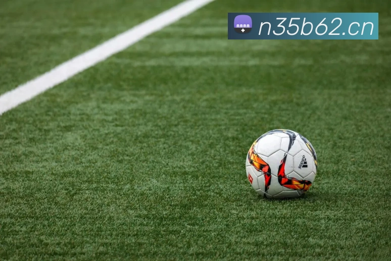 星空网首页入口平台生态图